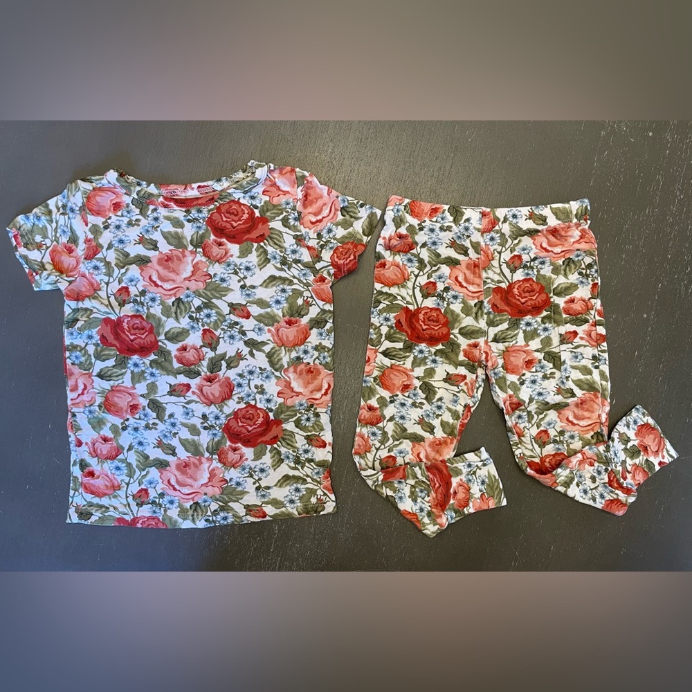 Posh Peanut Red Roses Floral Pajama Set